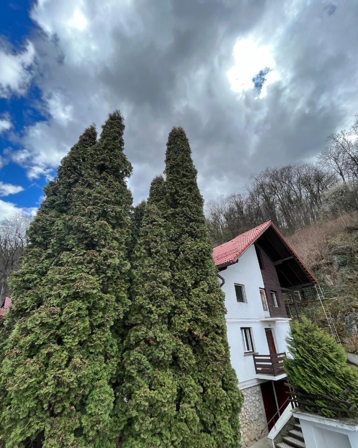 Timi Residence Брашов Экстерьер фото