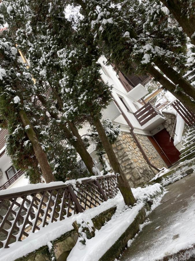 Timi Residence Брашов Экстерьер фото